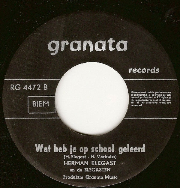Herman Elegast & De Elegasten -De Kabouters / Wat Heb Je Op School Geleerd