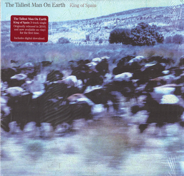 The Tallest Man On Earth -King Of Spain