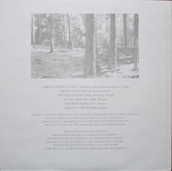 The Amazing (2) -The Amazing