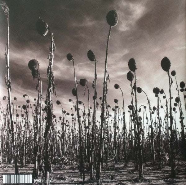 Dead Can Dance -Anastasis