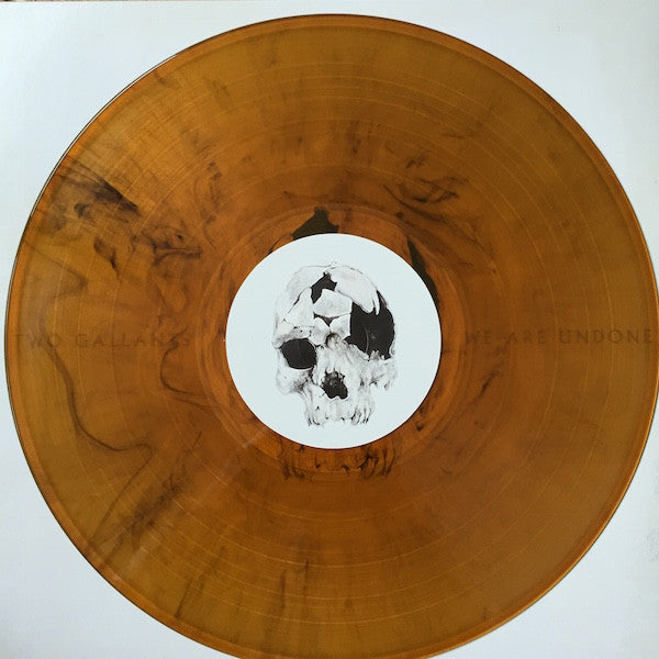 Two Gallants -We Are Undone