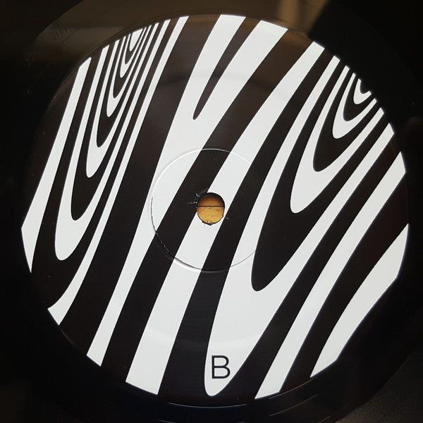 Wooden Shjips -Back To Land