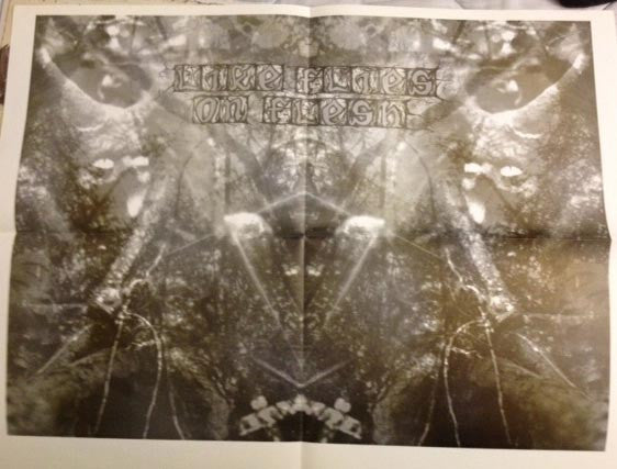 Asunder / Like Flies On Flesh -Asunder / Like Flies On Flesh