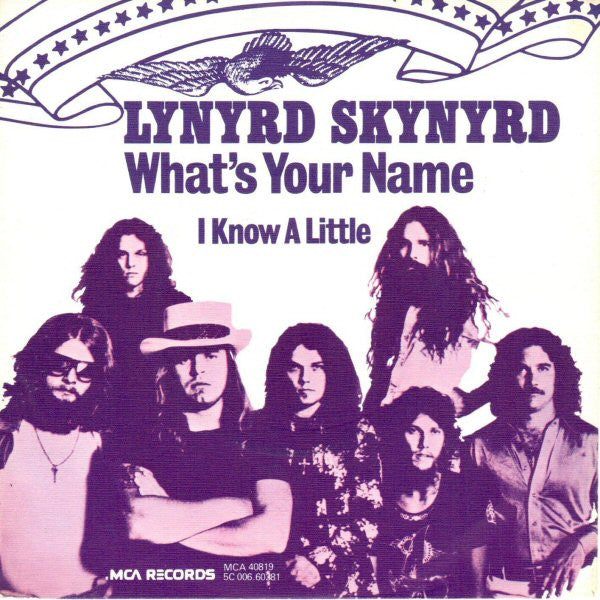 Lynyrd Skynyrd -What's Your Name