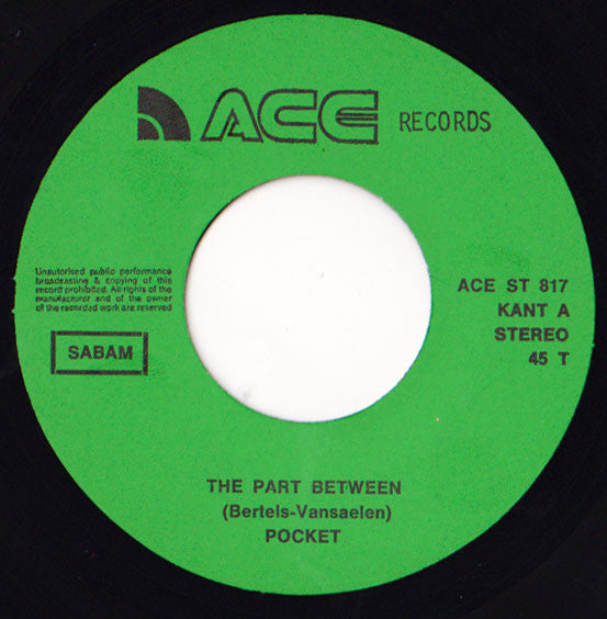 Pocket (14) -The Part Between / Nowhere Is Safe