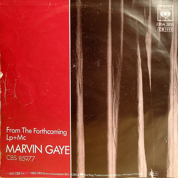 Marvin Gaye -Sexual Healing