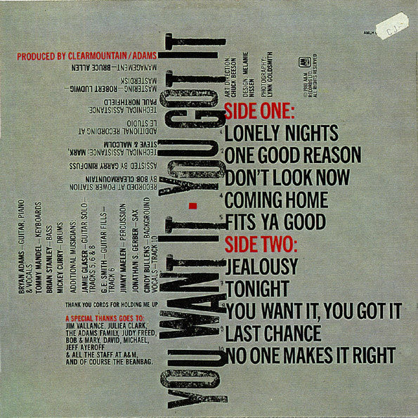 Bryan Adams -You Want It, You Got It