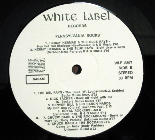 Various - Pennsylvania Rocks