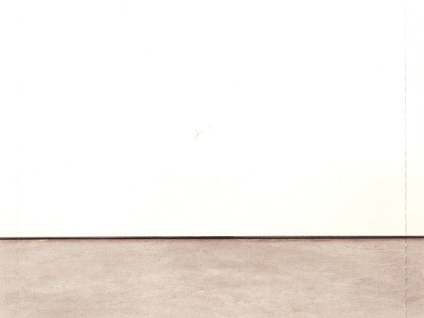 Manic Street Preachers -Forever Delayed - The Greatest Hits