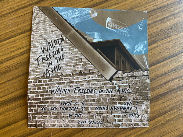 Walden (12) - Freezing in the Attic