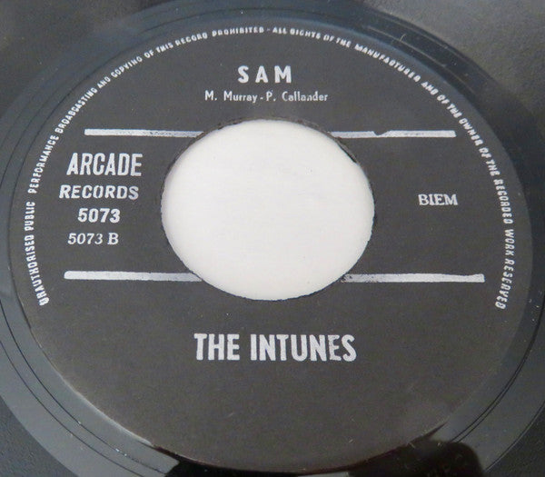 The Intunes -In Like A Lion, Out Like A Lamb