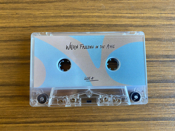 Walden (12) - Freezing in the Attic