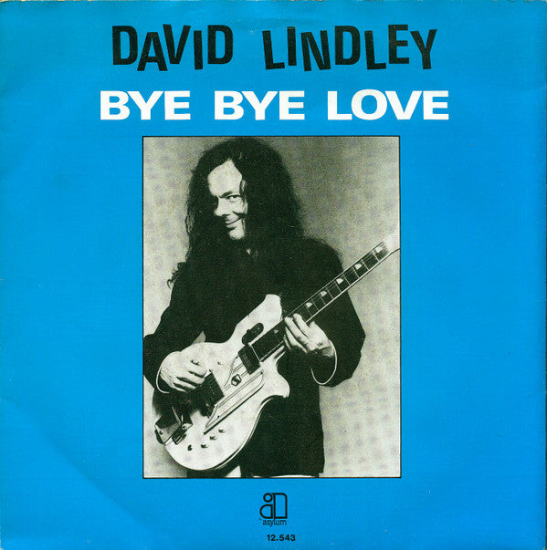 David Lindley -Bye Bye, Love