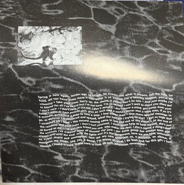 Nirvana -Nevermind