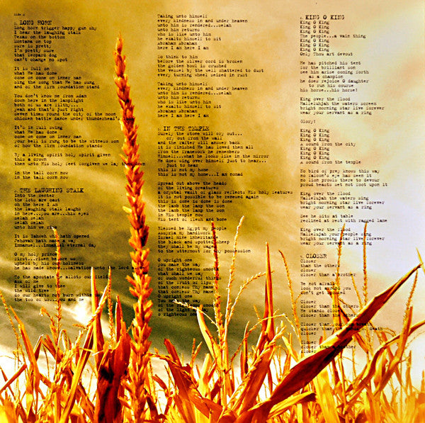Wovenhand* -The Laughing Stalk
