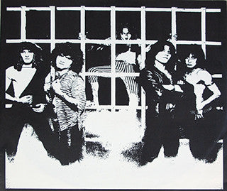 Krokus -Hardware
