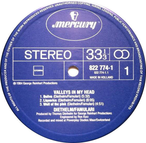 Diethelm* / Famulari* - Valleys In My Head