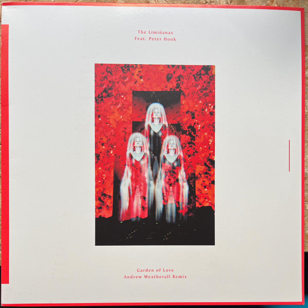 The Limiñanas Feat. Peter Hook -Garden Of Love (Andrew Weatherall Remix)