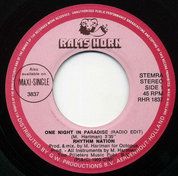 Rhythm Nation -One Night In Paradise