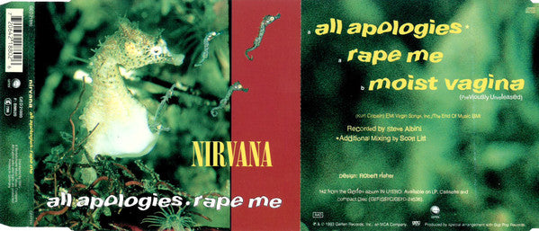 Nirvana -All Apologies / Rape Me