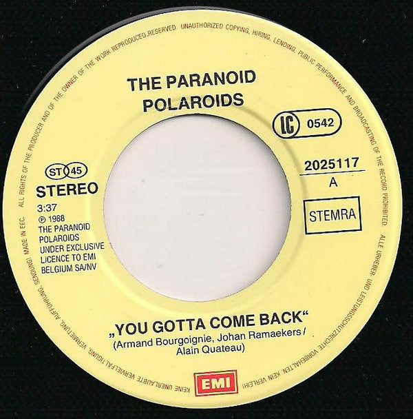 The Paranoid Polaroids -You Gotta Come Back / Private Amusement Park