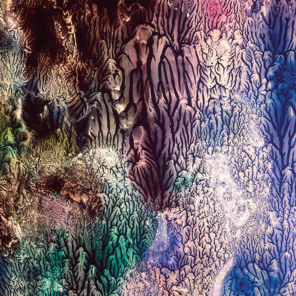 The Womb (3) -The Womb