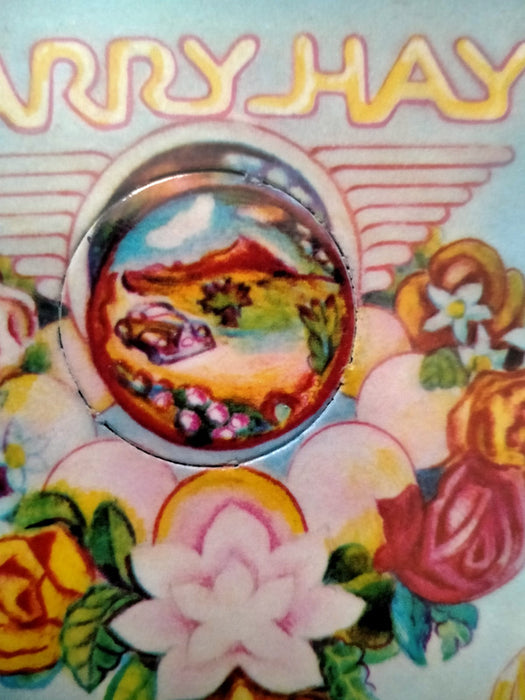 Barry Hay -Only Parrots, Frogs And Angels