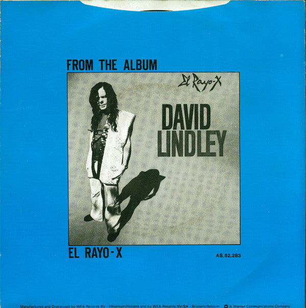 David Lindley -Bye Bye, Love