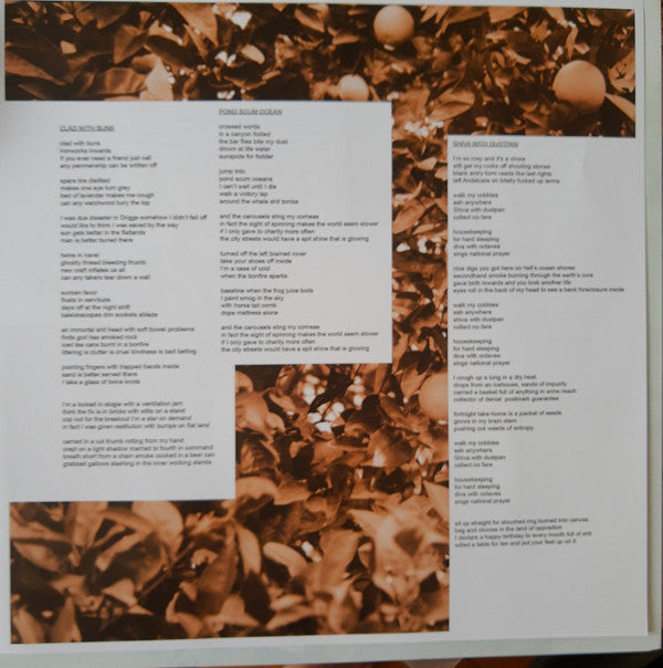 Ryley Walker -Course In Fable