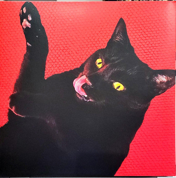 Ryan Adams -Big Colors