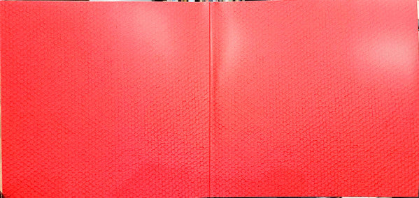 Ryan Adams -Big Colors