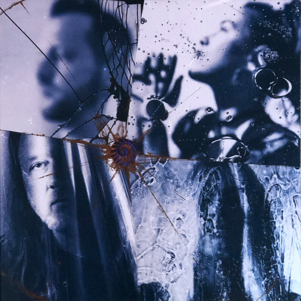 Evanescence -The Bitter Truth
