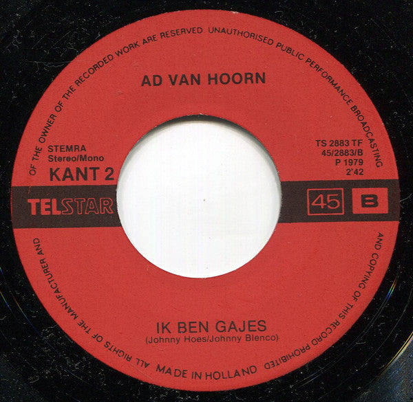Ad Van Hoorn -De Bajesklant