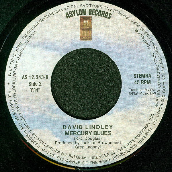 David Lindley -Bye Bye, Love
