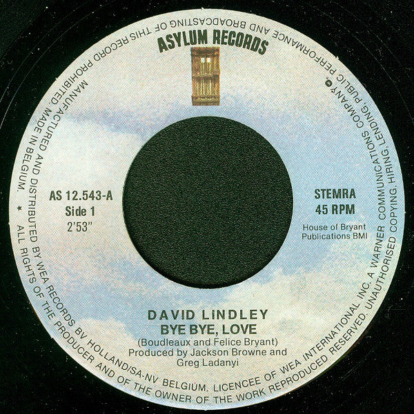 David Lindley -Bye Bye, Love