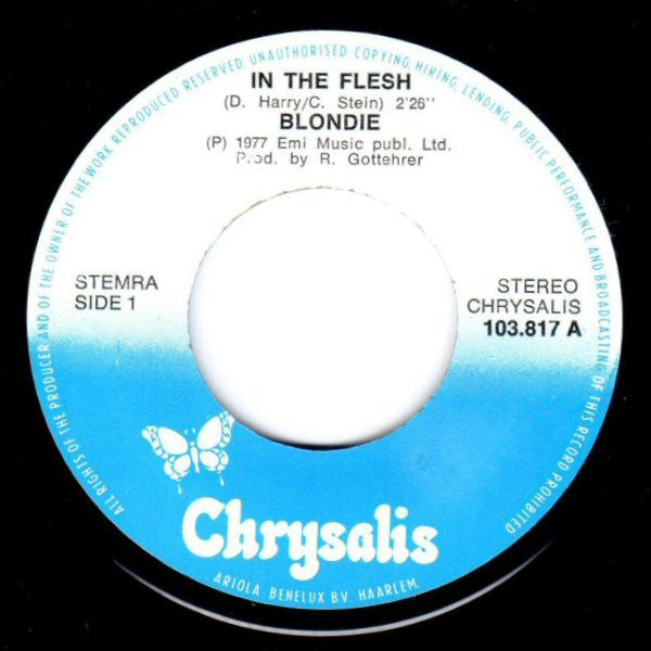 Blondie -In The Flesh