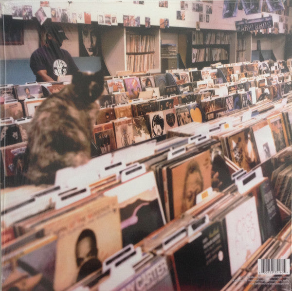 DJ Shadow -Endtroducing...