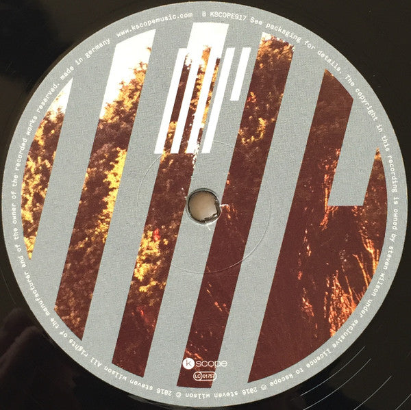 Steven Wilson -4½