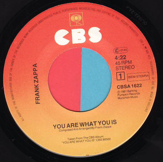Frank Zappa -You Are What You Is