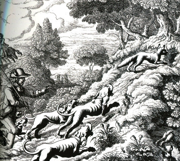 Ulver -Wars Of The Roses
