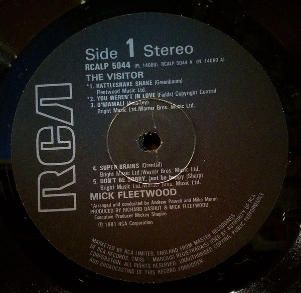 Mick Fleetwood -The Visitor