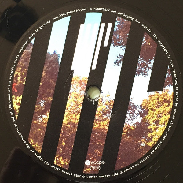 Steven Wilson -4½