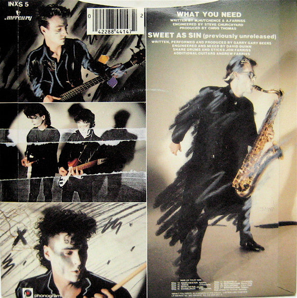 INXS -What You Need
