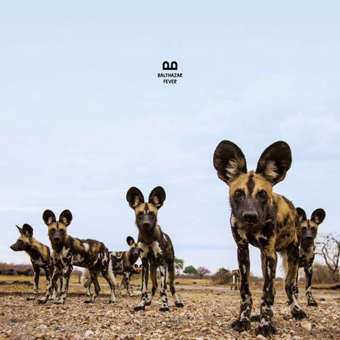 Balthazar (6) - Fever