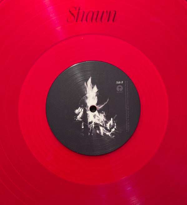 Shawn Mendes -Shawn