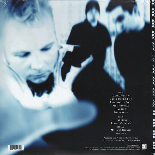 Evanescence -Fallen