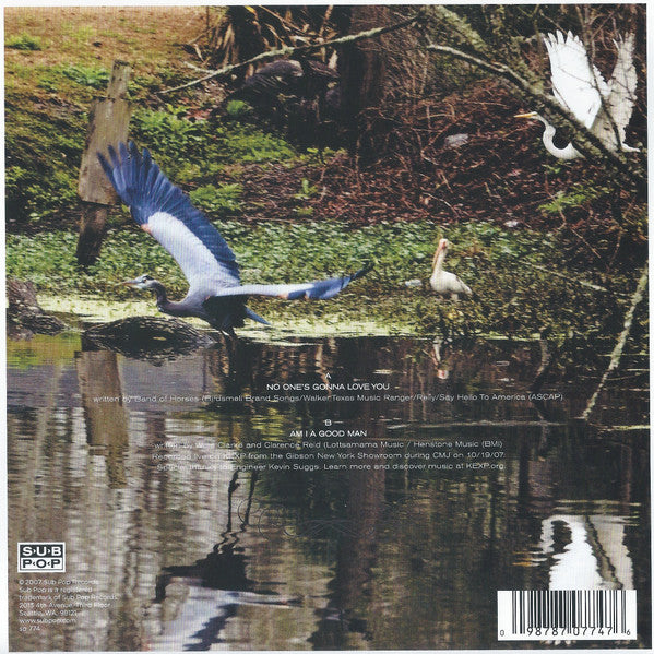 Band Of Horses - No One's Gonna Love You