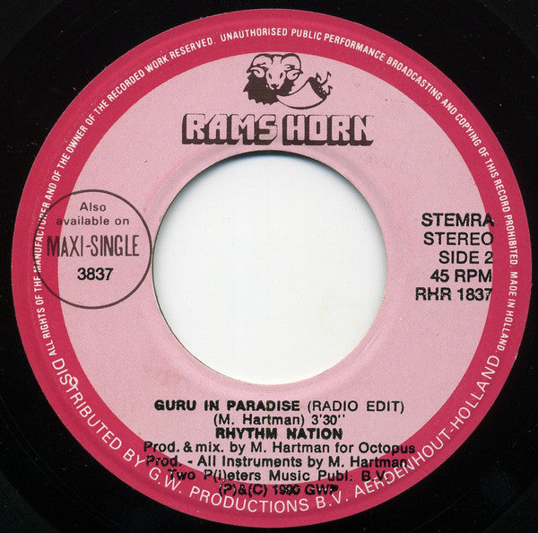 Rhythm Nation -One Night In Paradise