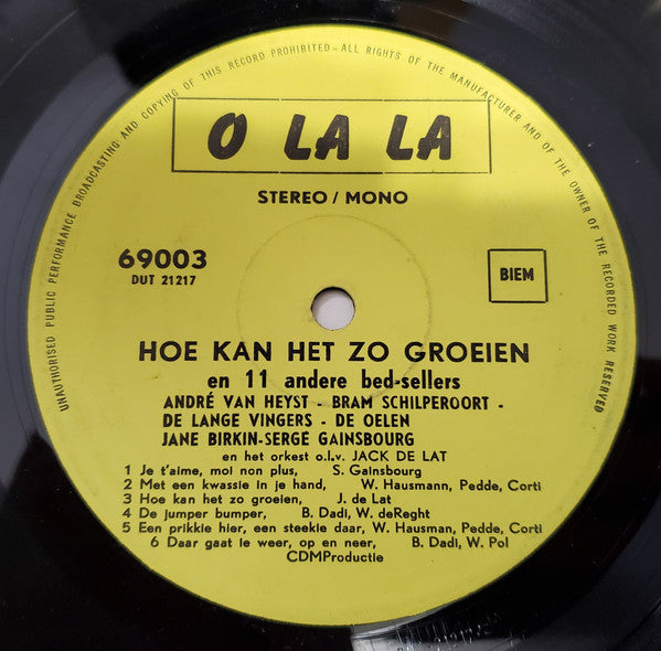 Various - Hoe Kan Het Zo Groeien