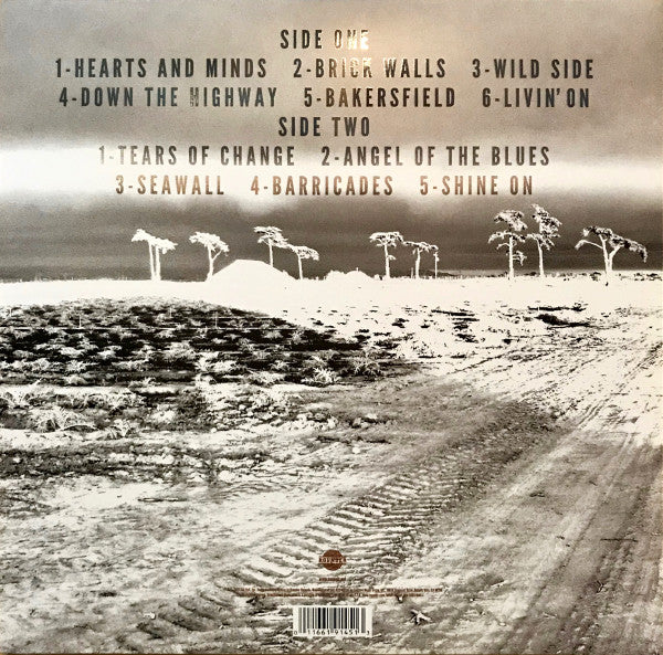 Son Volt -Honky Tonk